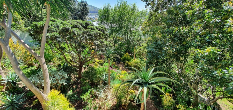 To Let 4 Bedroom Property for Rent in Higgovale Western Cape